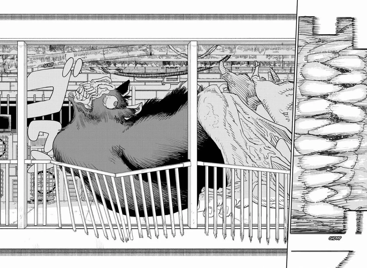 Read Chainsaw Man ar Manga Online