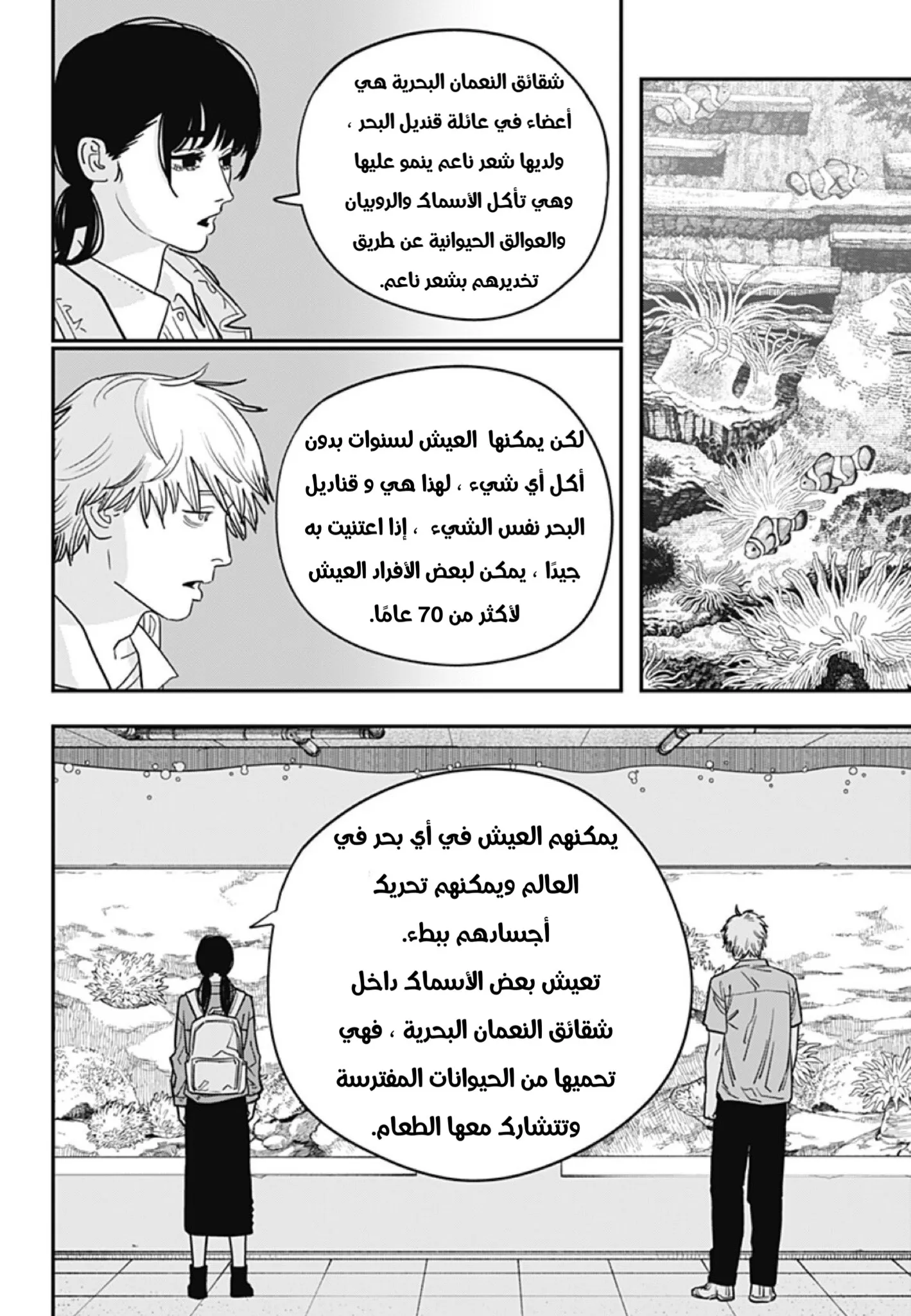 Read Chainsaw Man ar Manga Online