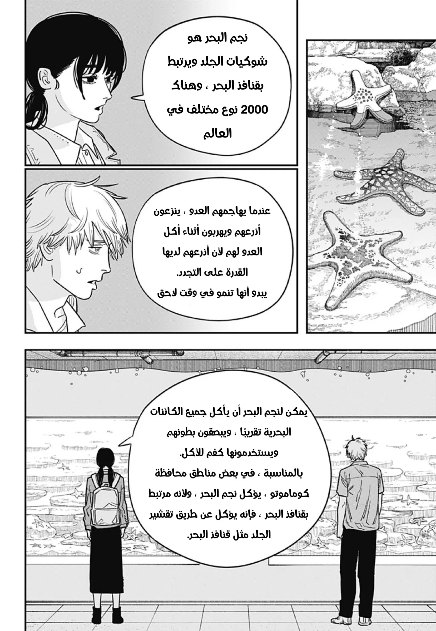Read Chainsaw Man ar Manga Online