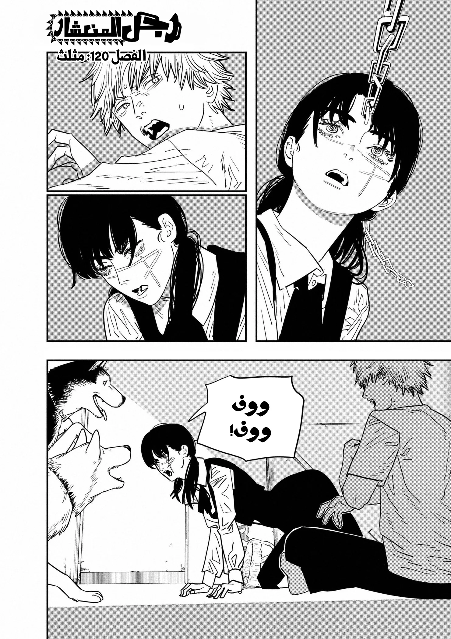 Read Chainsaw Man ar Manga Online