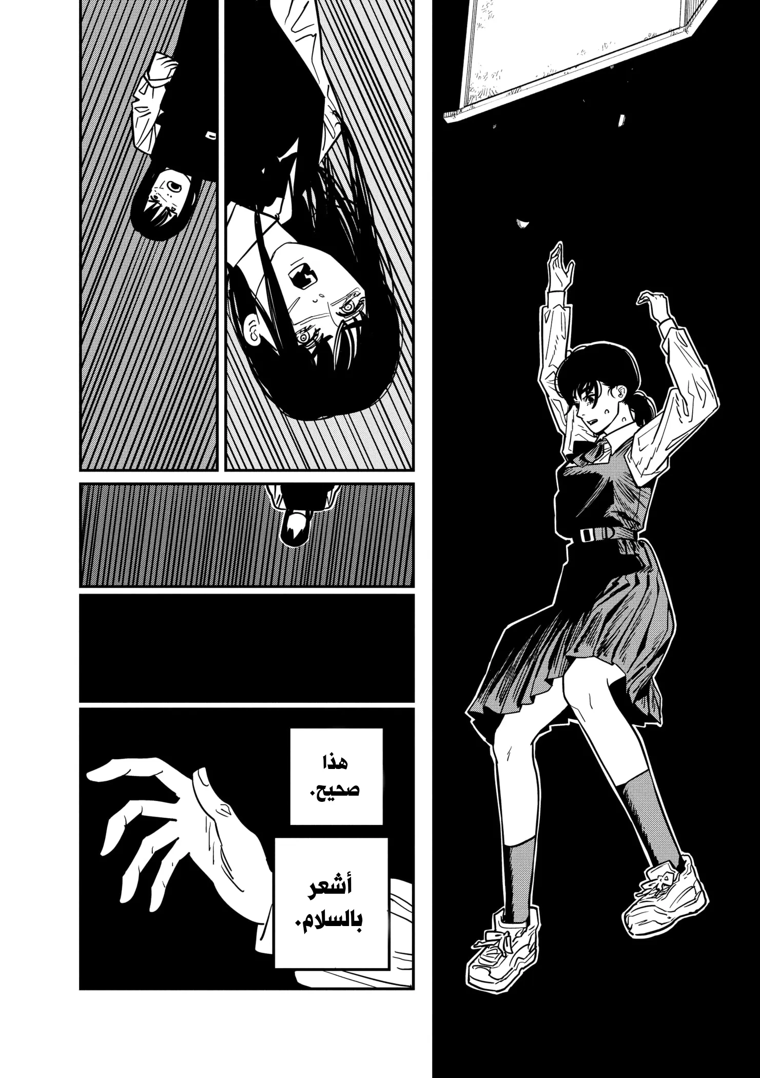 Read Chainsaw Man ar Manga Online