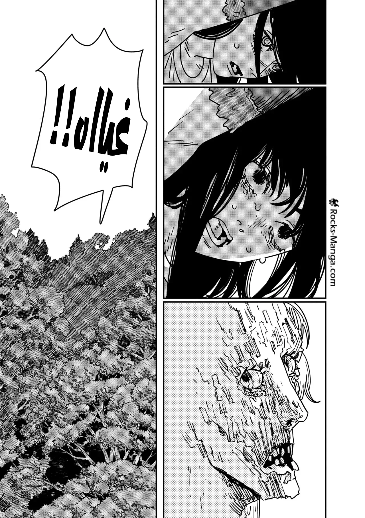 Read Chainsaw Man ar Manga Online