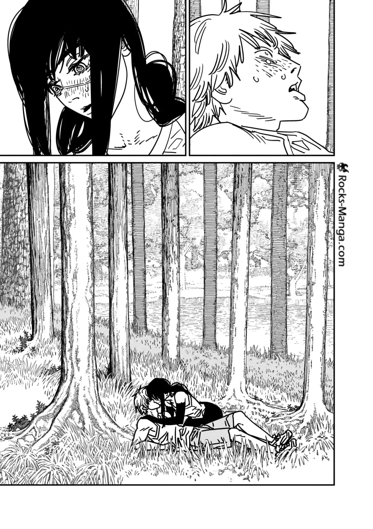 Read Chainsaw Man ar Manga Online