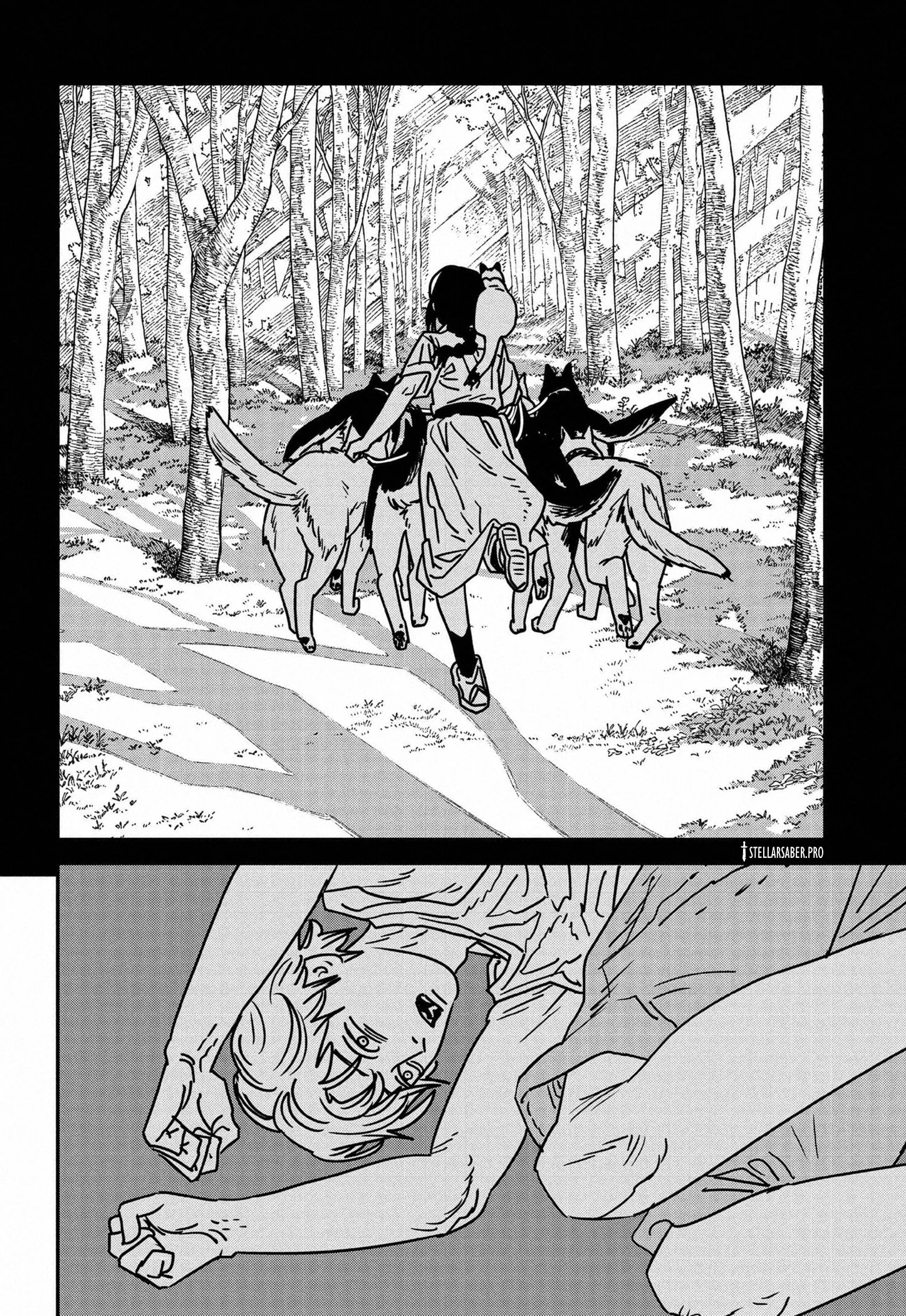 Read Chainsaw Man ar Manga Online