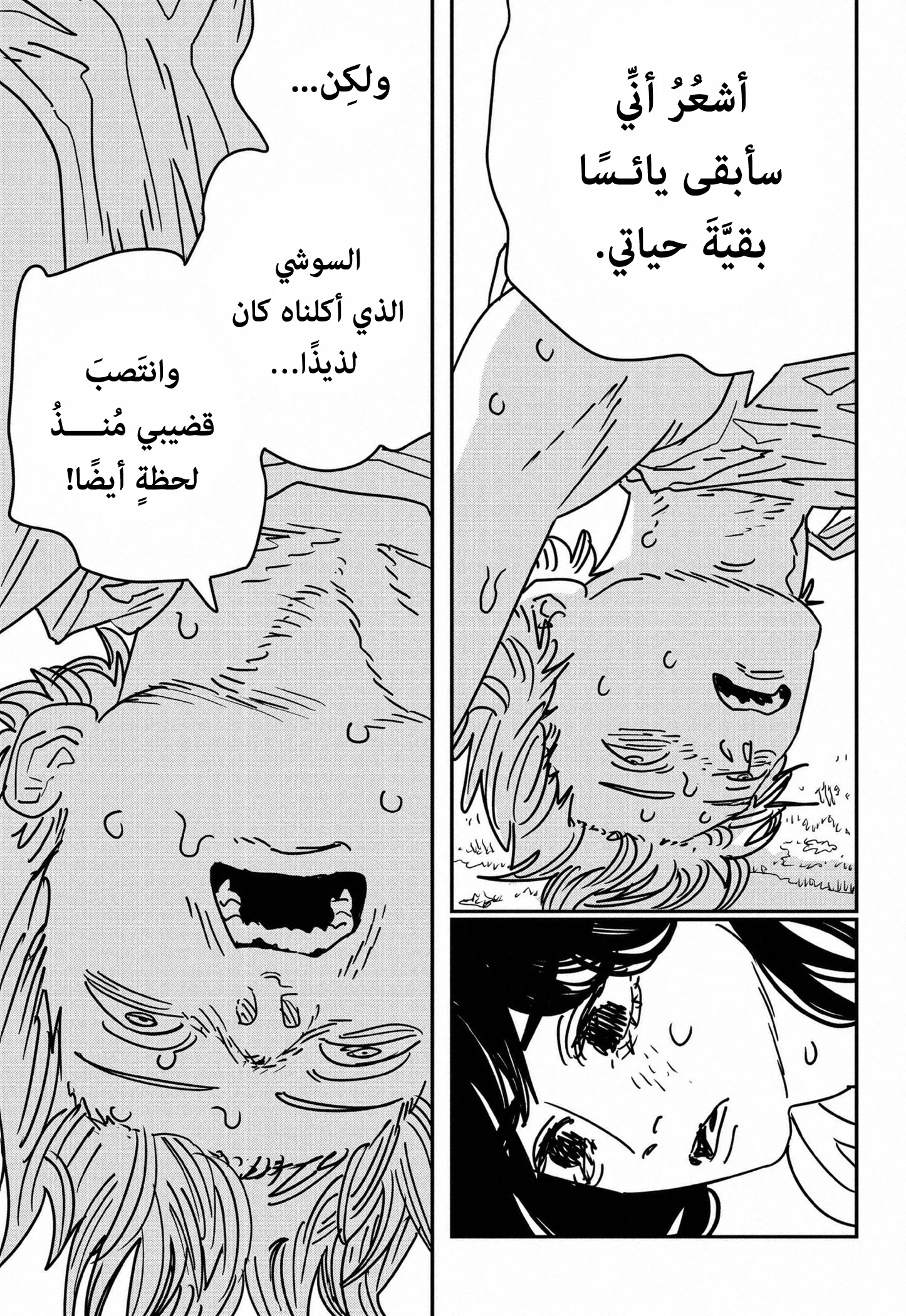 Read Chainsaw Man ar Manga Online