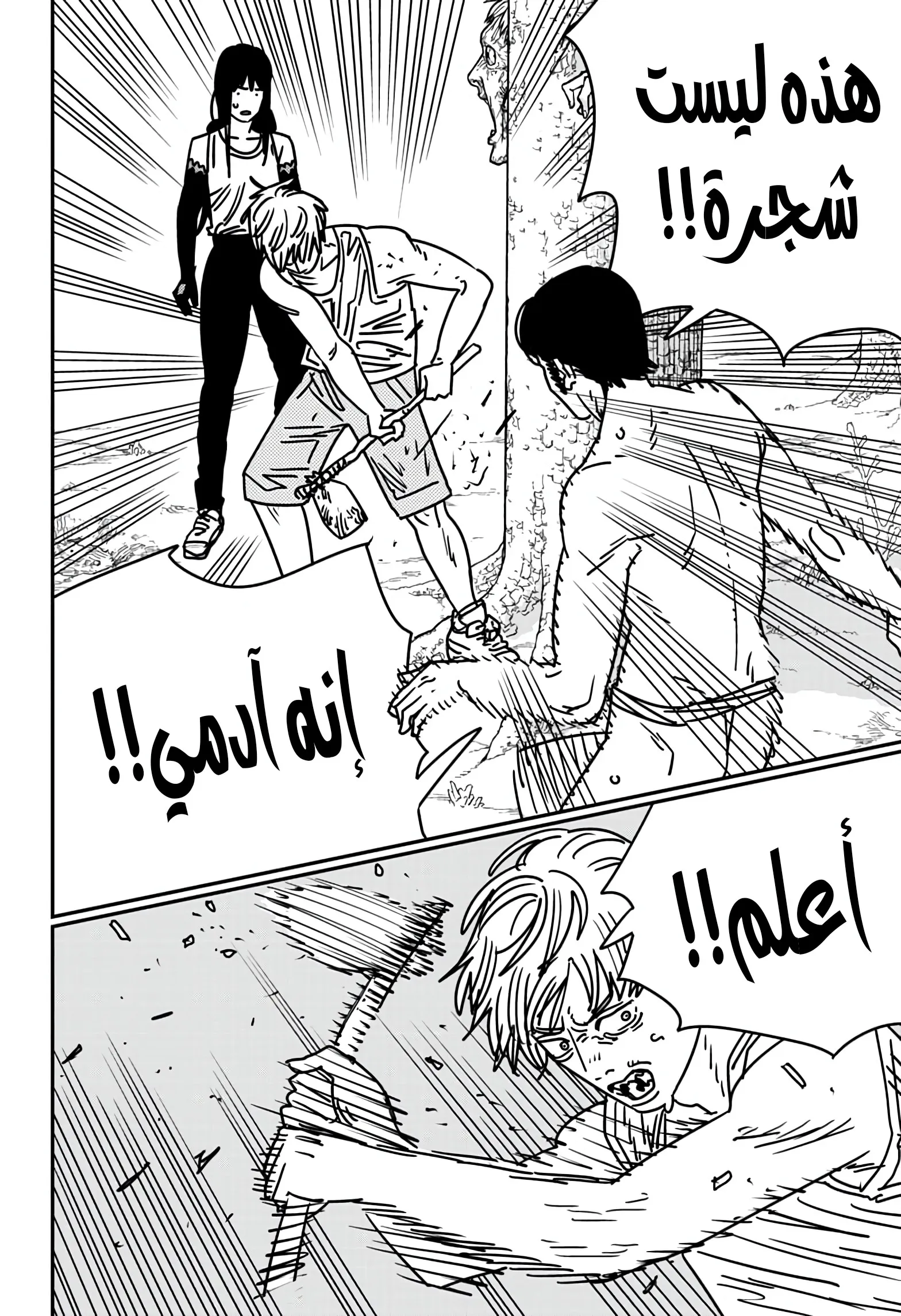 Read Chainsaw Man ar Manga Online
