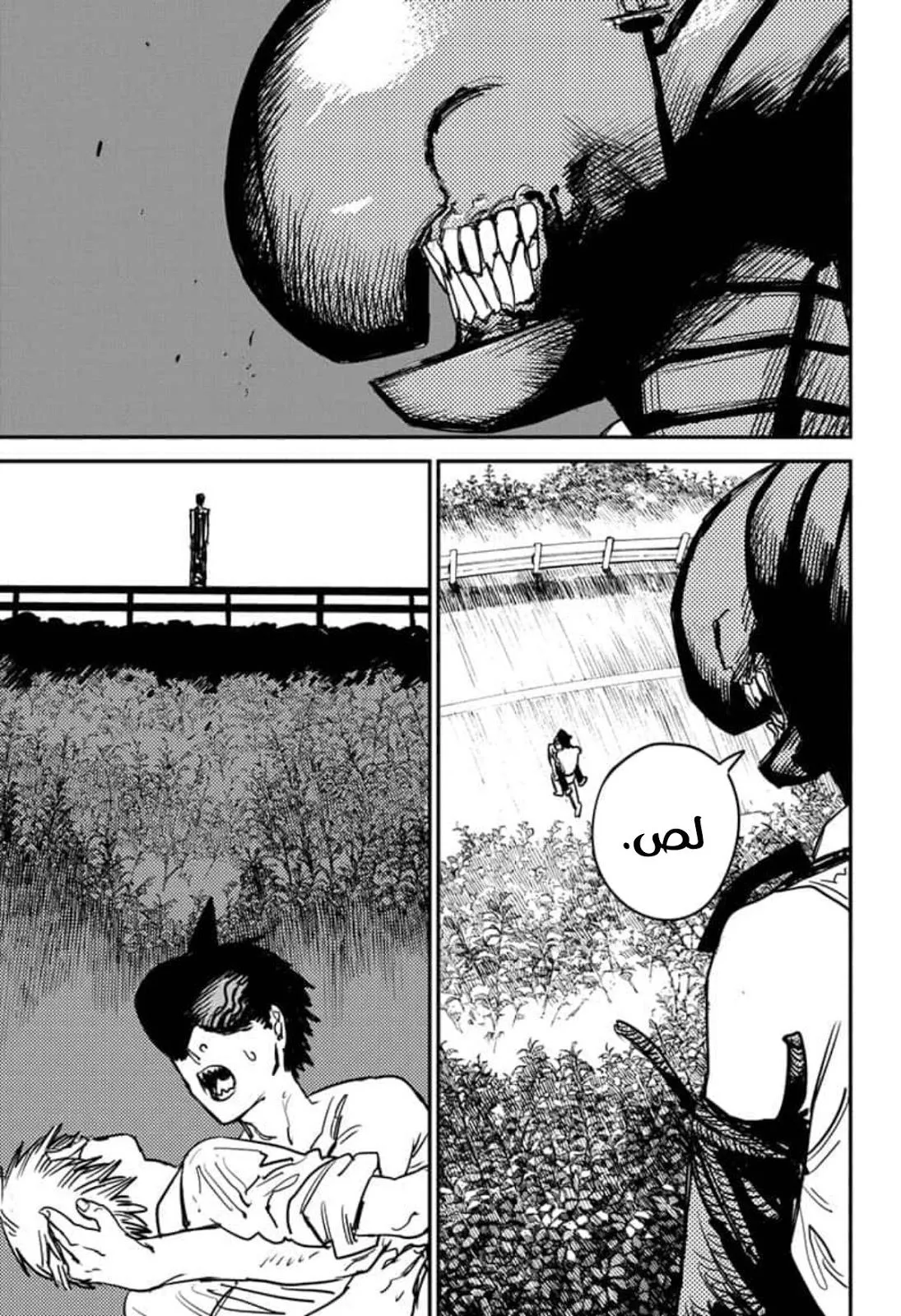 Read Chainsaw Man ar Manga Online