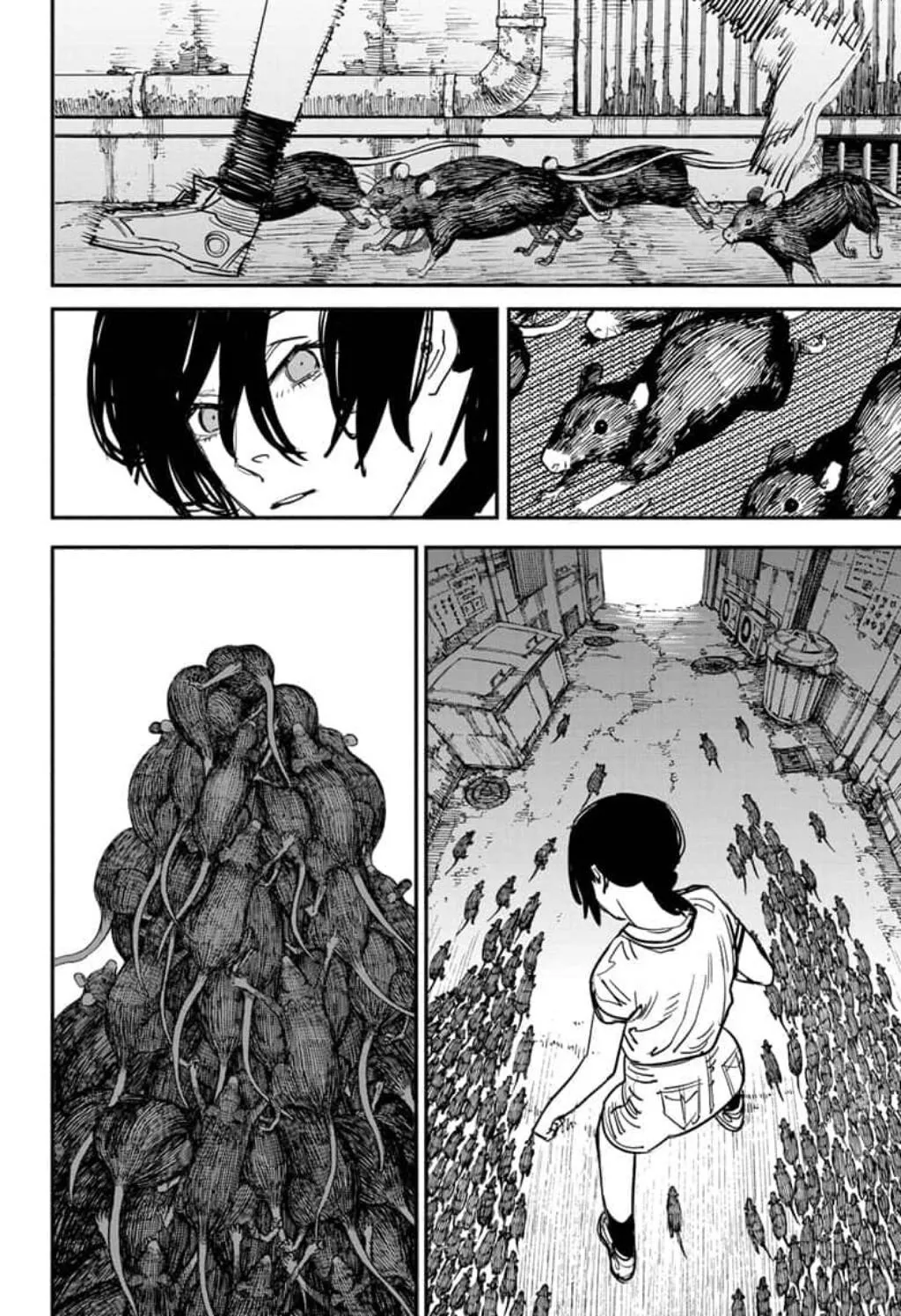 Read Chainsaw Man ar Manga Online