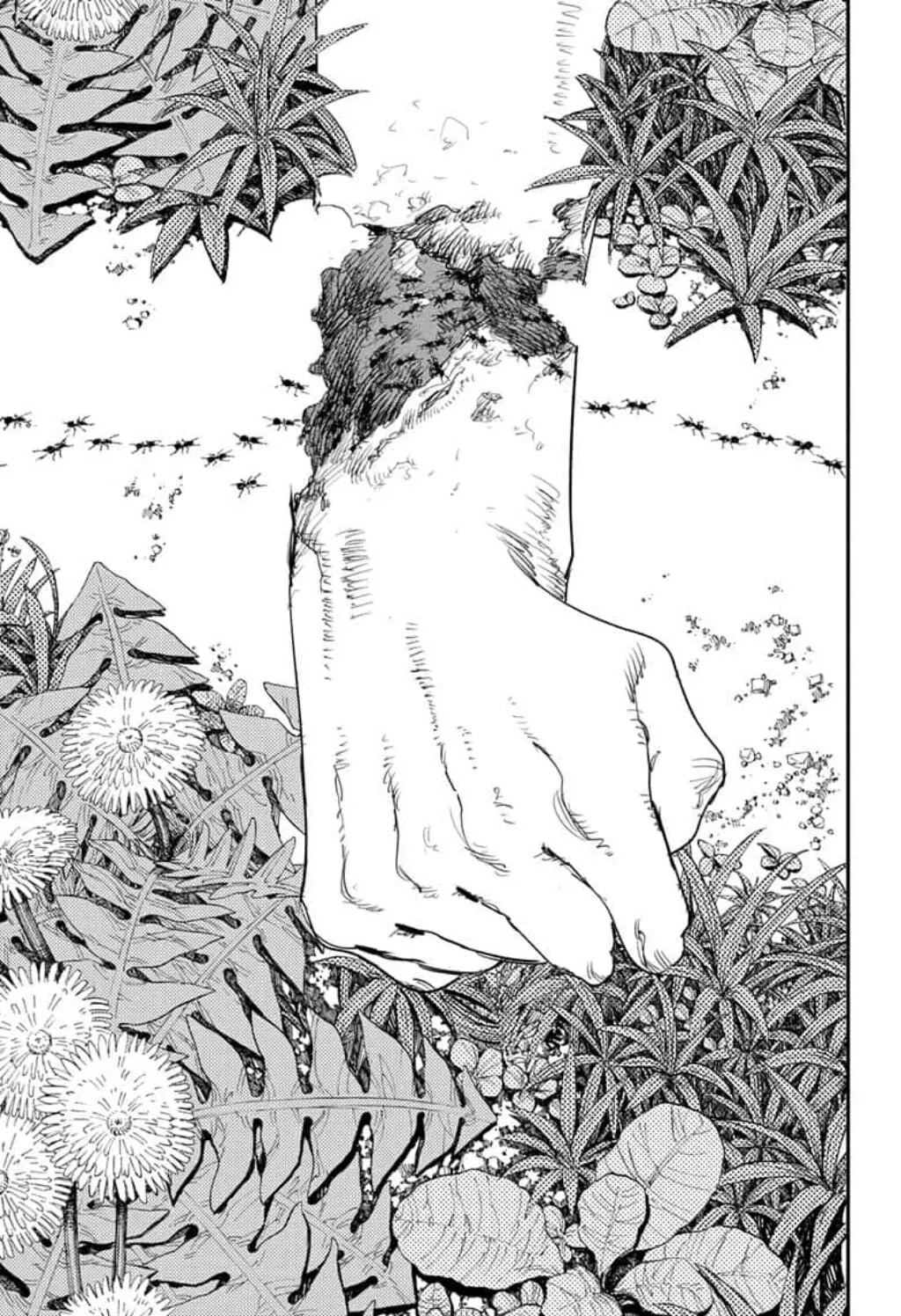 Read Chainsaw Man ar Manga Online