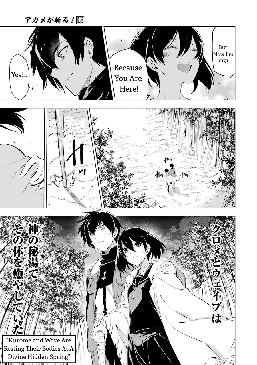 Read Akame ga Kill en Manga Online