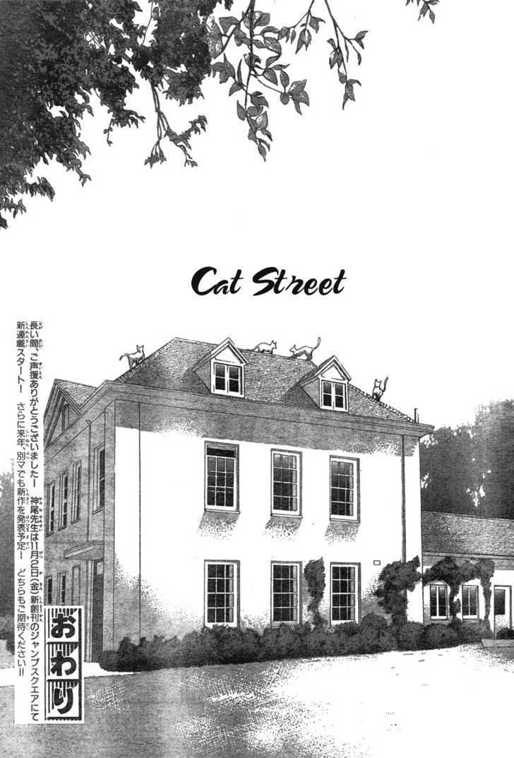 Read Cat Street en Manga Online
