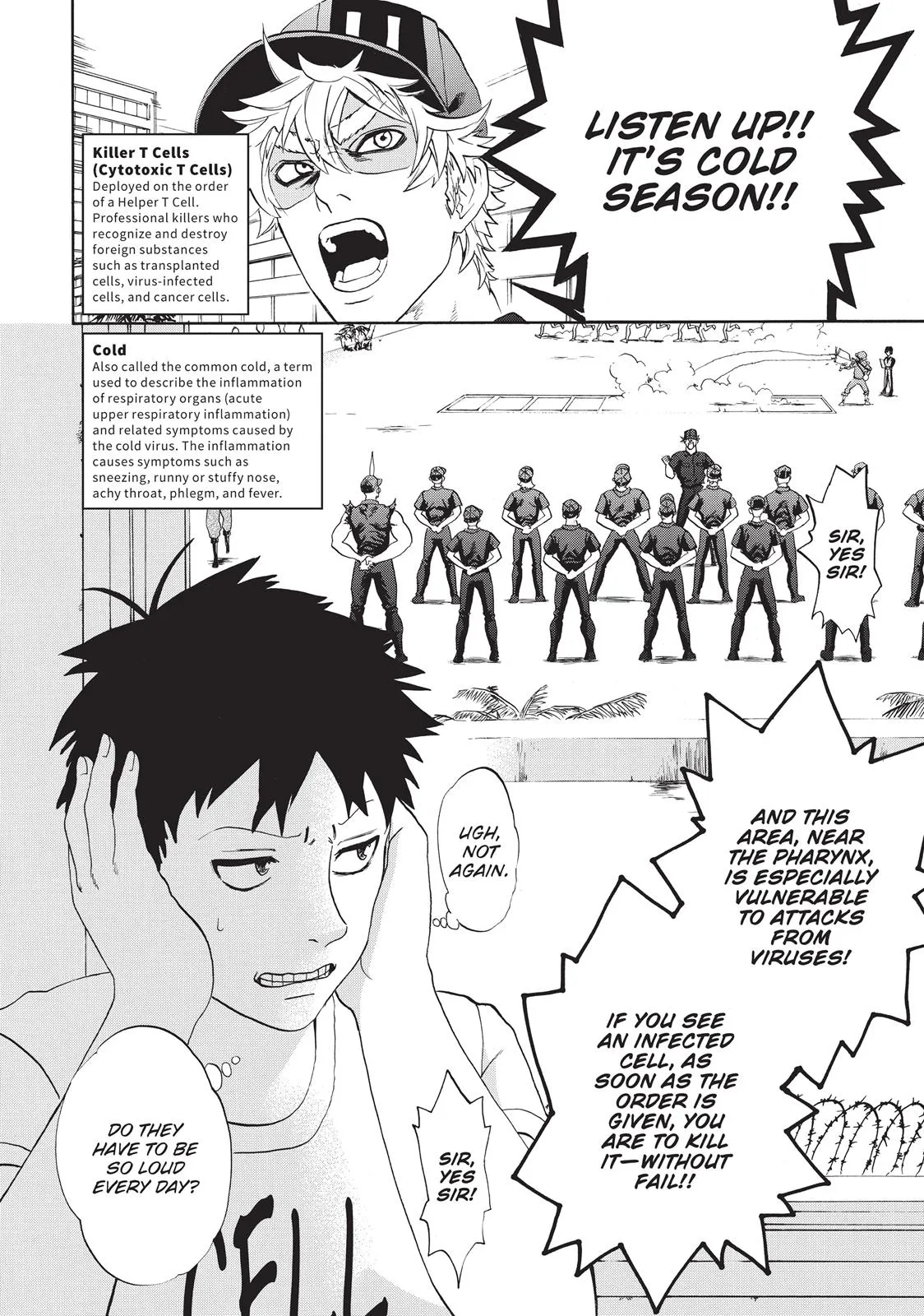 Read Cells at Work en Manga Online