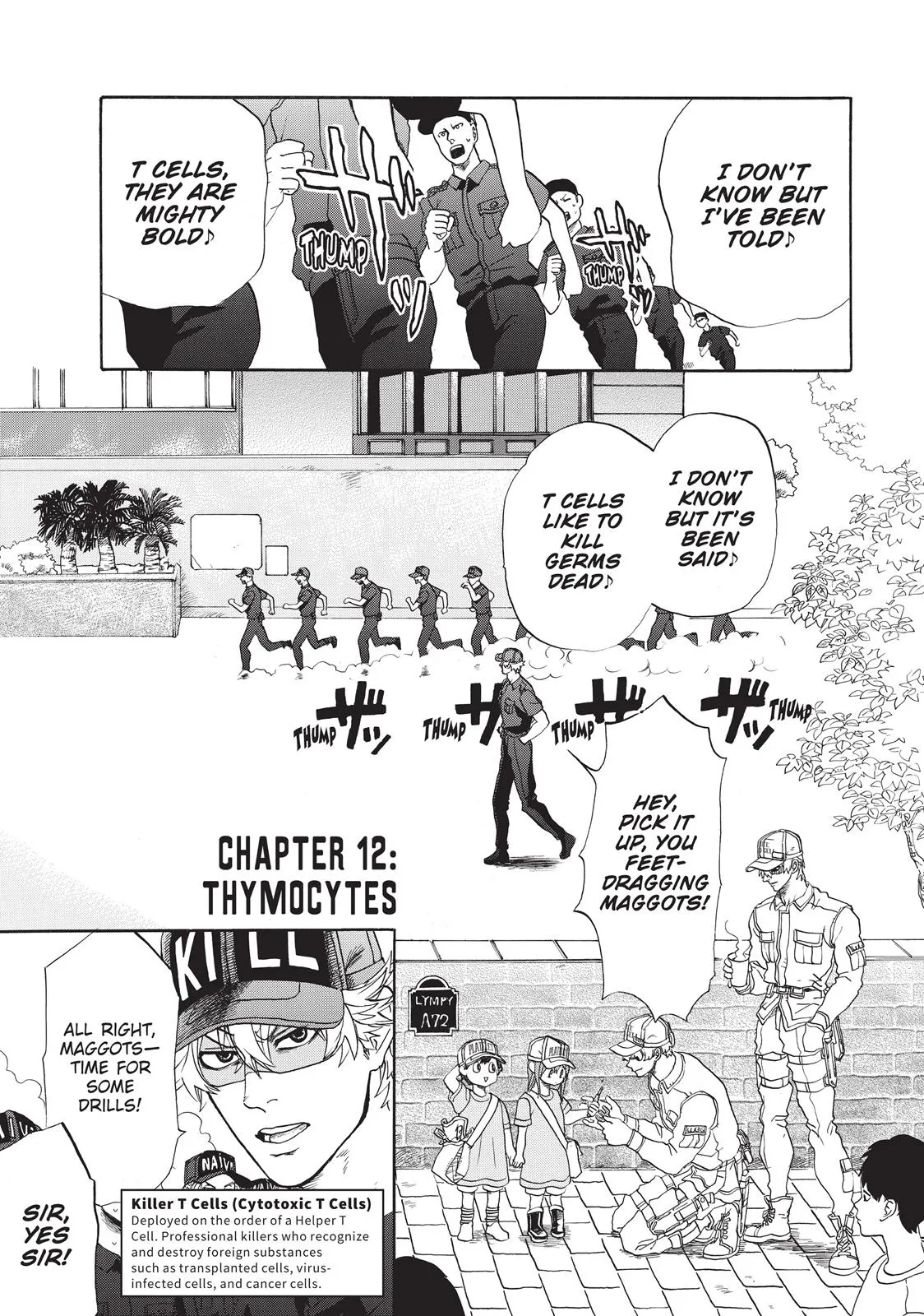 Read Cells at Work en Manga Online