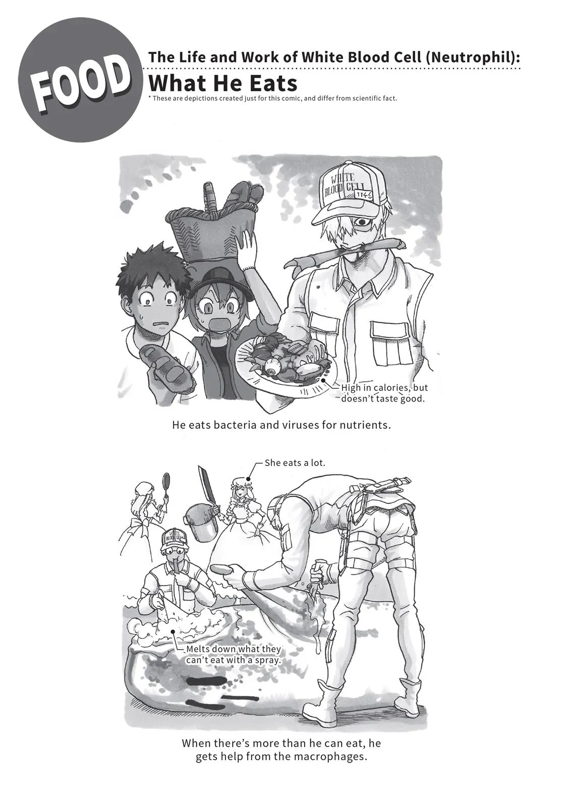Read Cells at Work en Manga Online