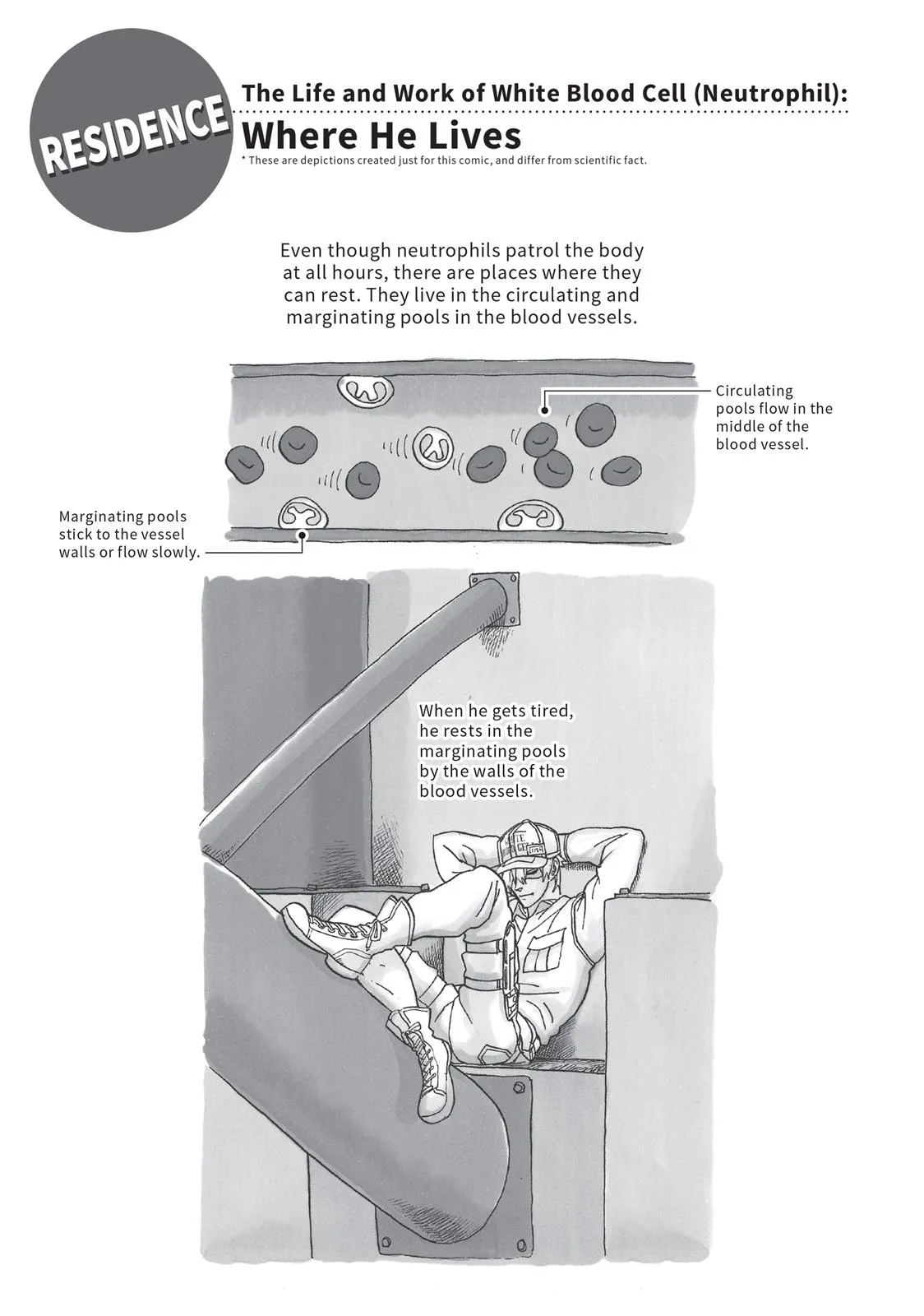 Read Cells at Work en Manga Online