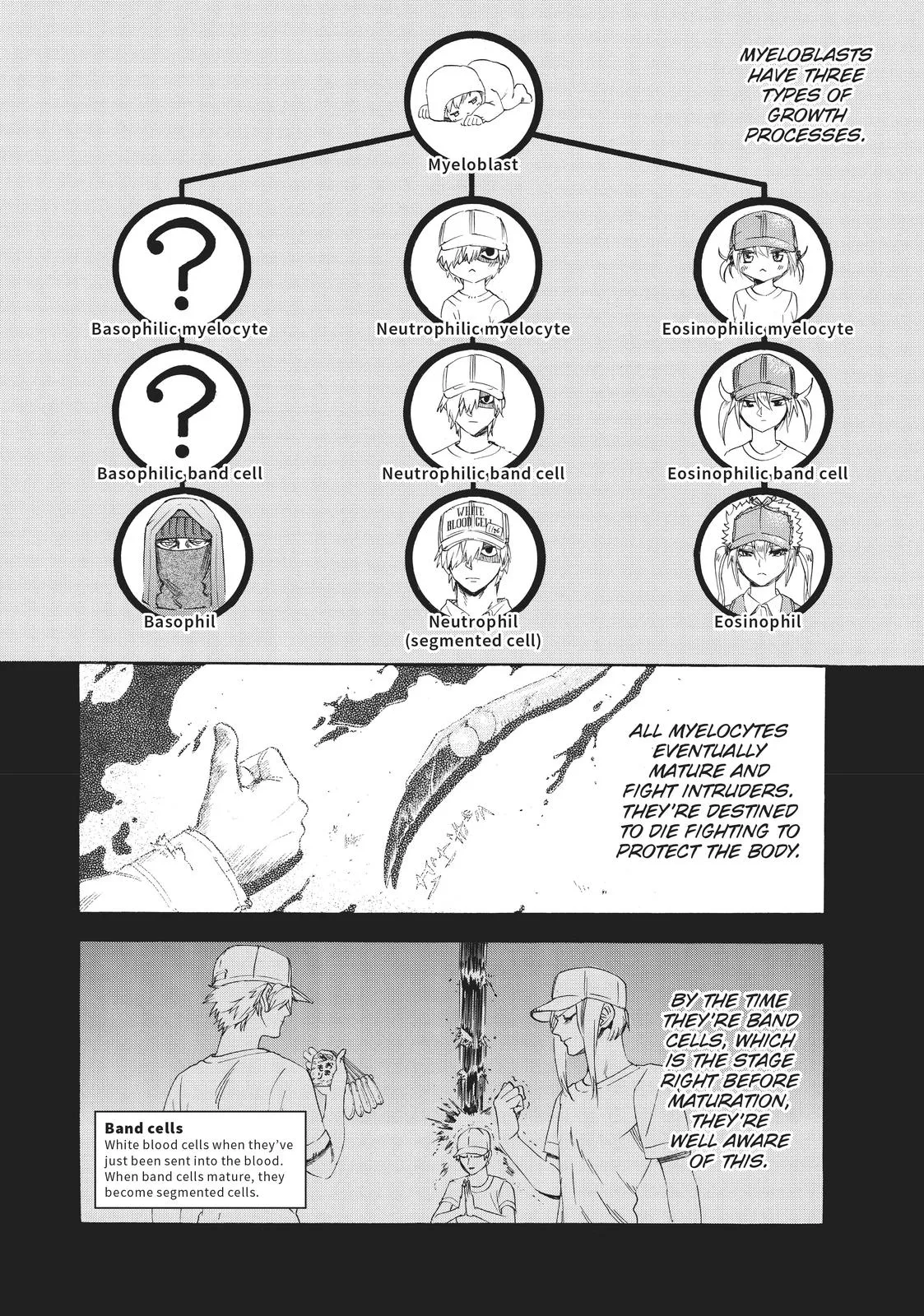 Read Cells at Work en Manga Online