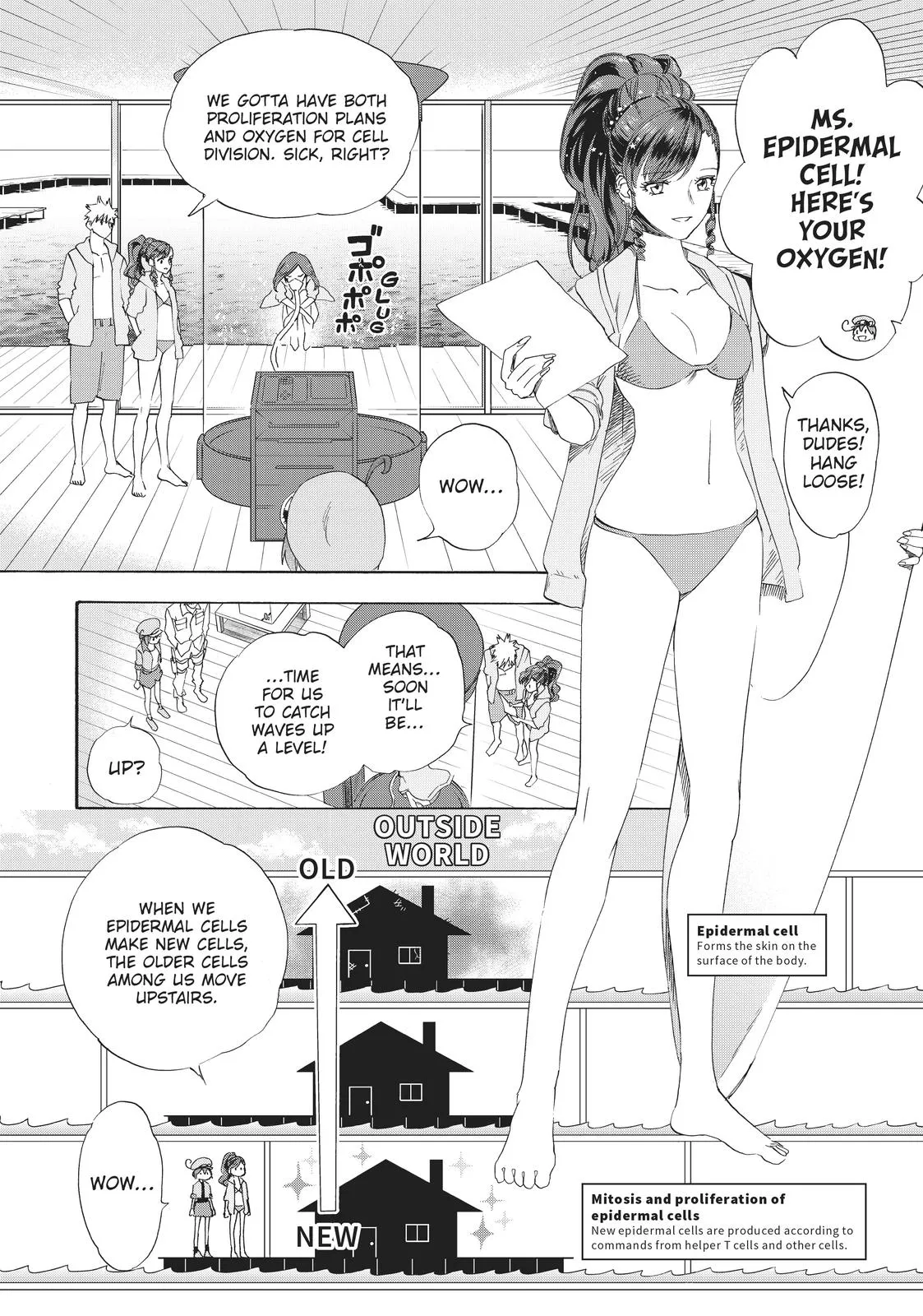Read Cells at Work en Manga Online