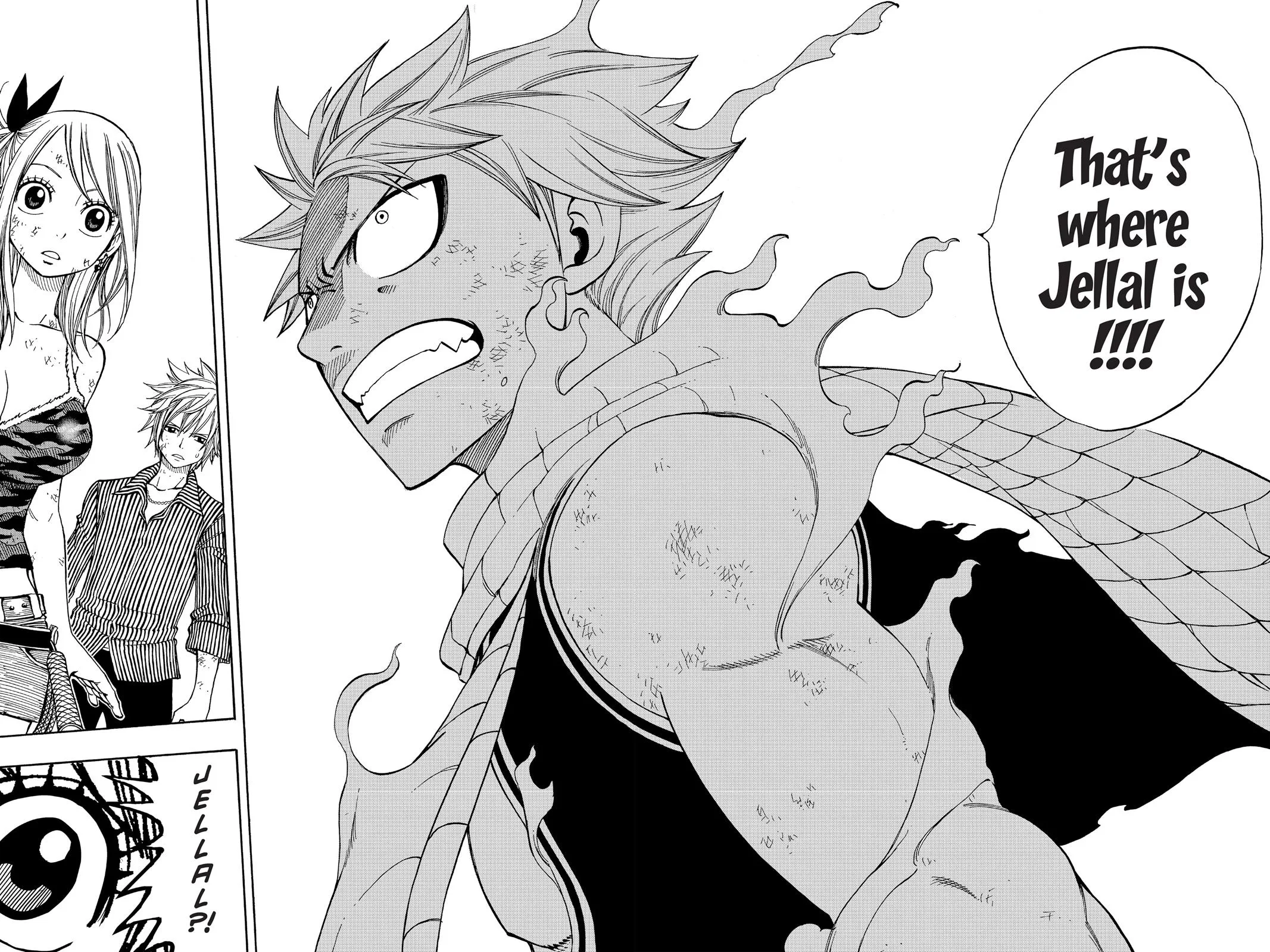 Read Fairy Tail en Manga Online