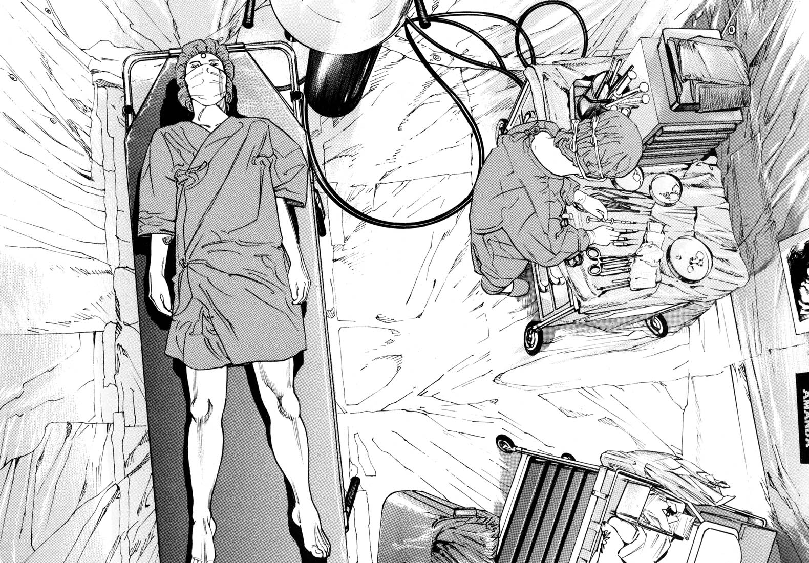 Read Homunculus en Manga Online