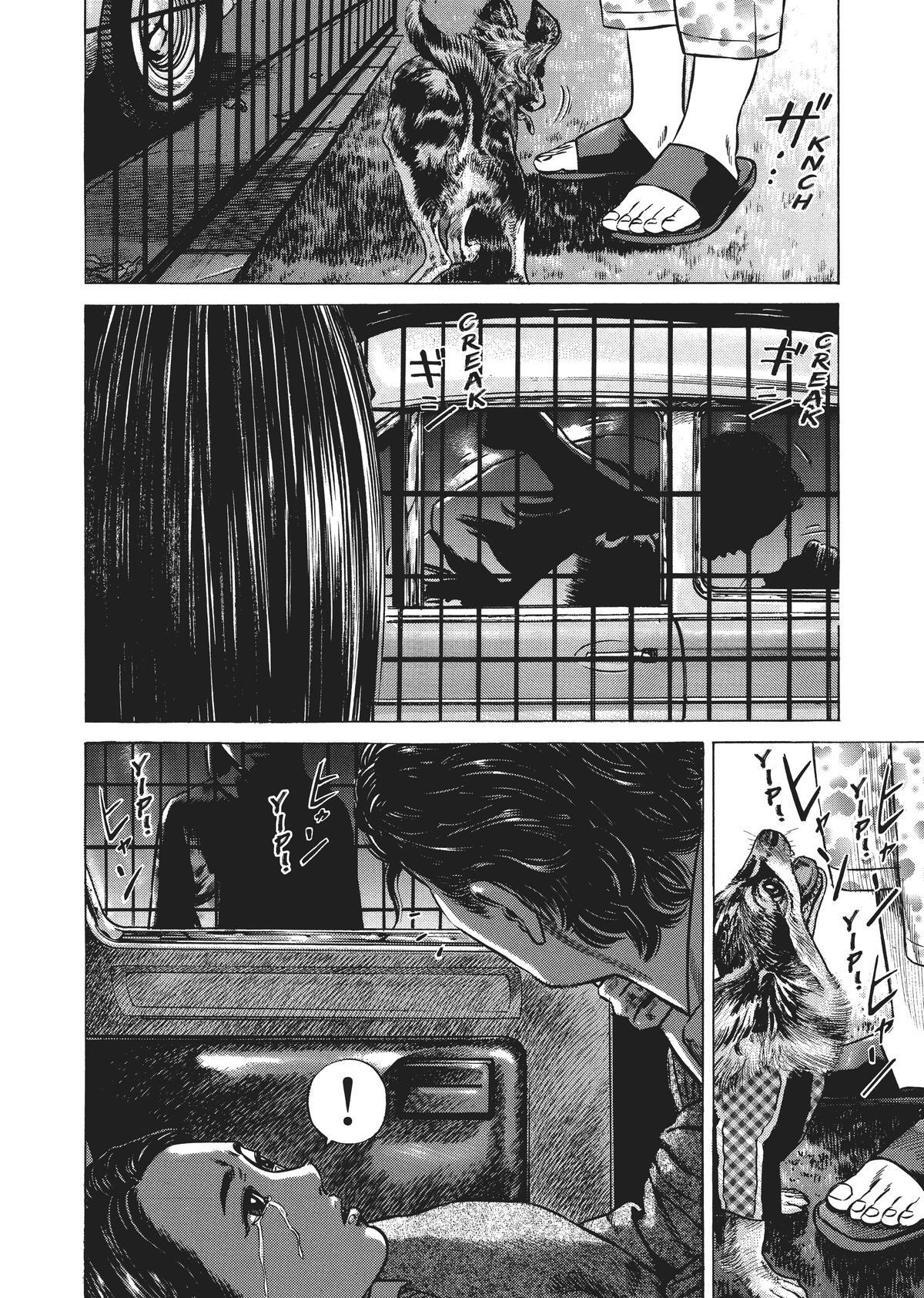Read Homunculus en Manga Online