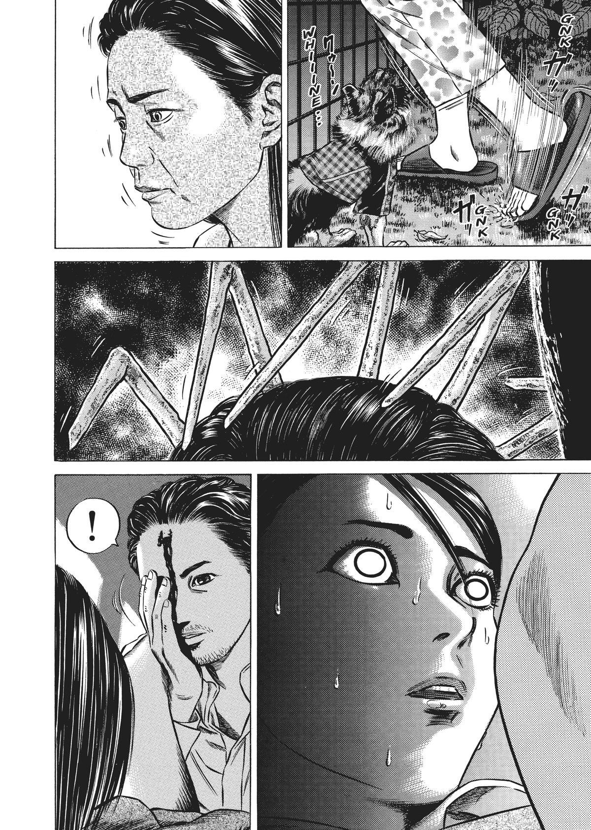 Read Homunculus en Manga Online