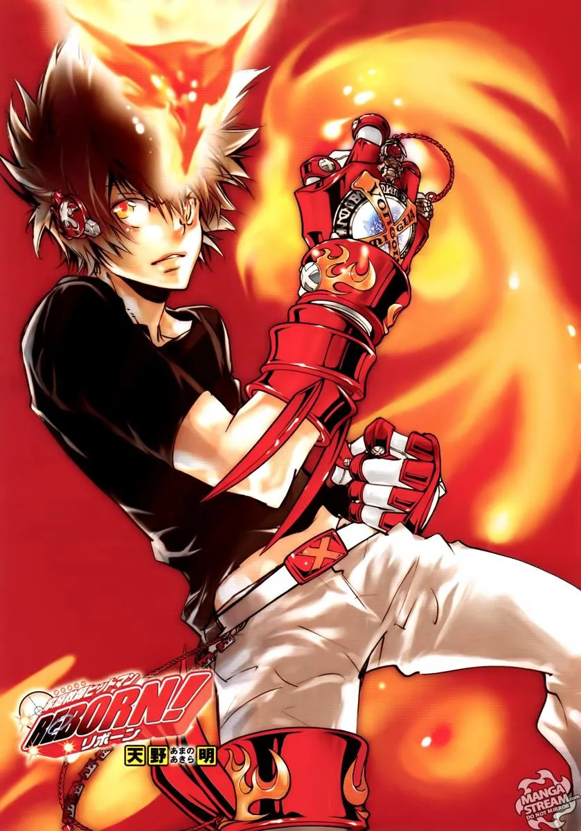Read Katekyo Hitman Reborn en Manga Online