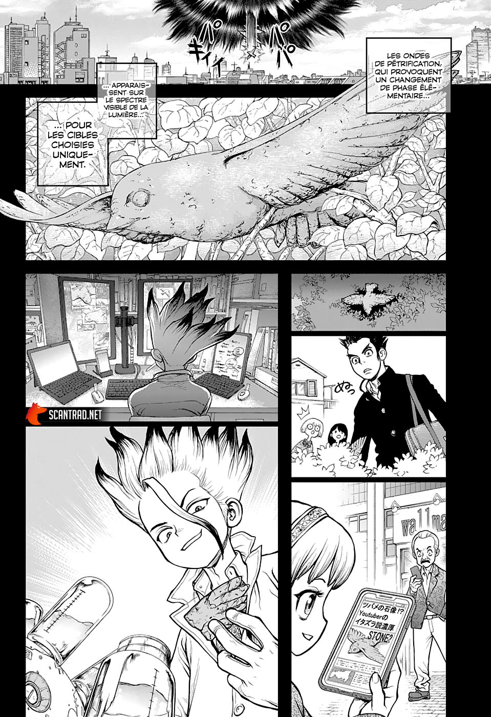 Read Dr. Stone fr Manga Online