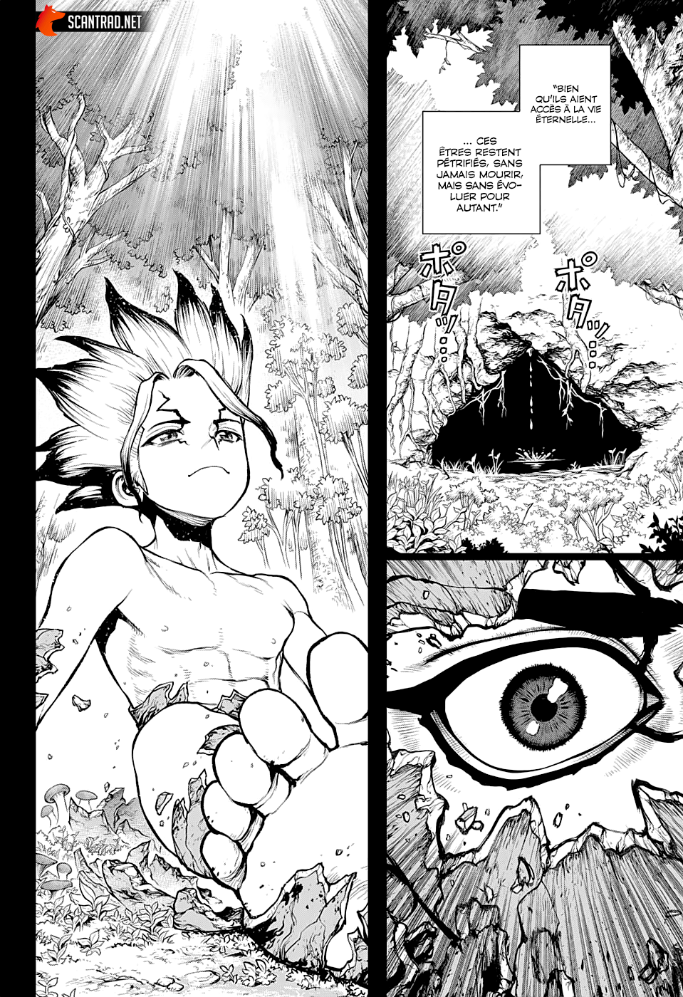 Read Dr. Stone fr Manga Online