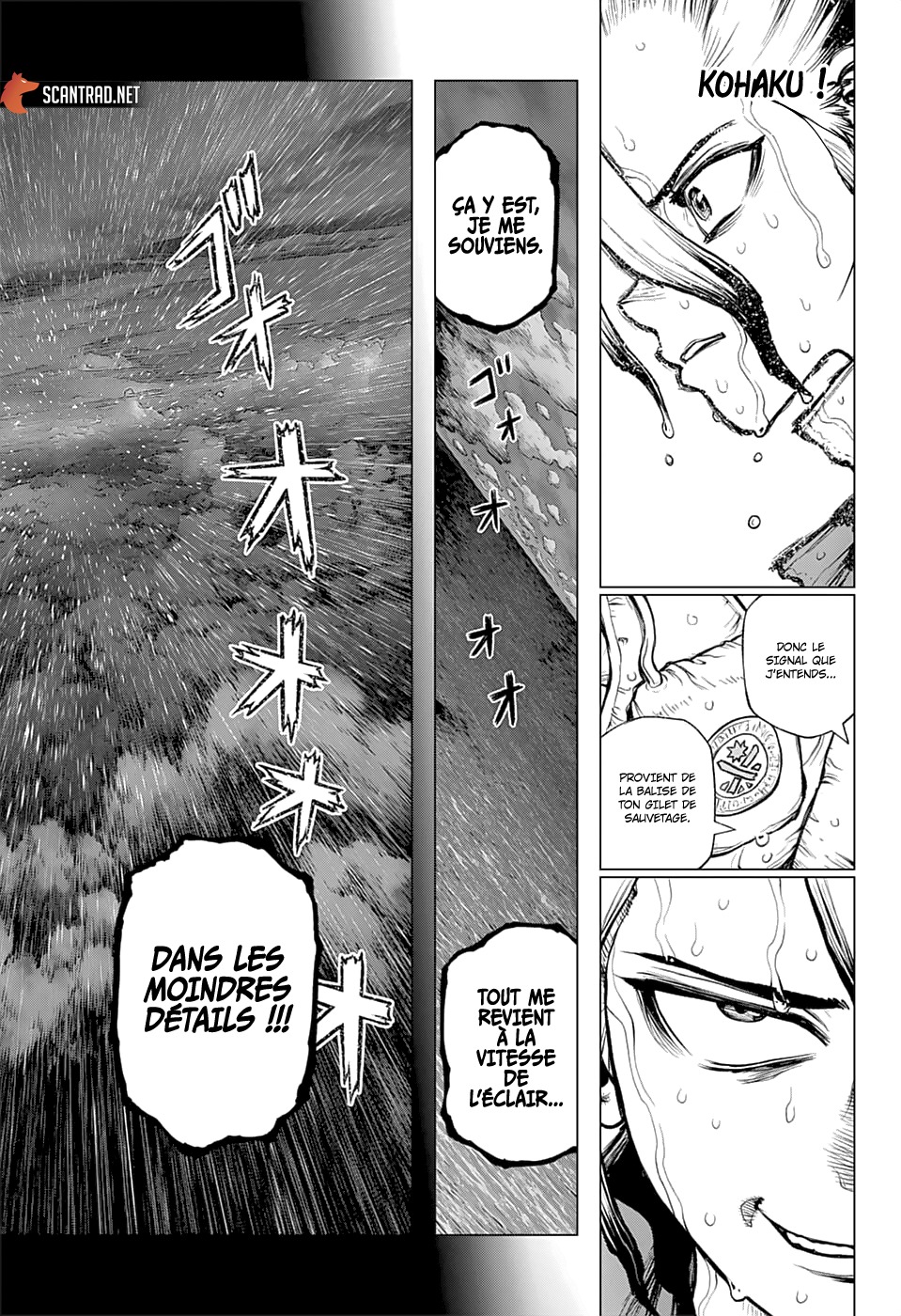 Read Dr. Stone fr Manga Online