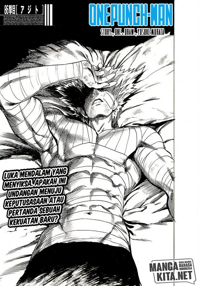Read One Punch-Man ID Manga Online