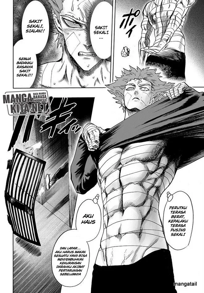 Read One Punch-Man ID Manga Online