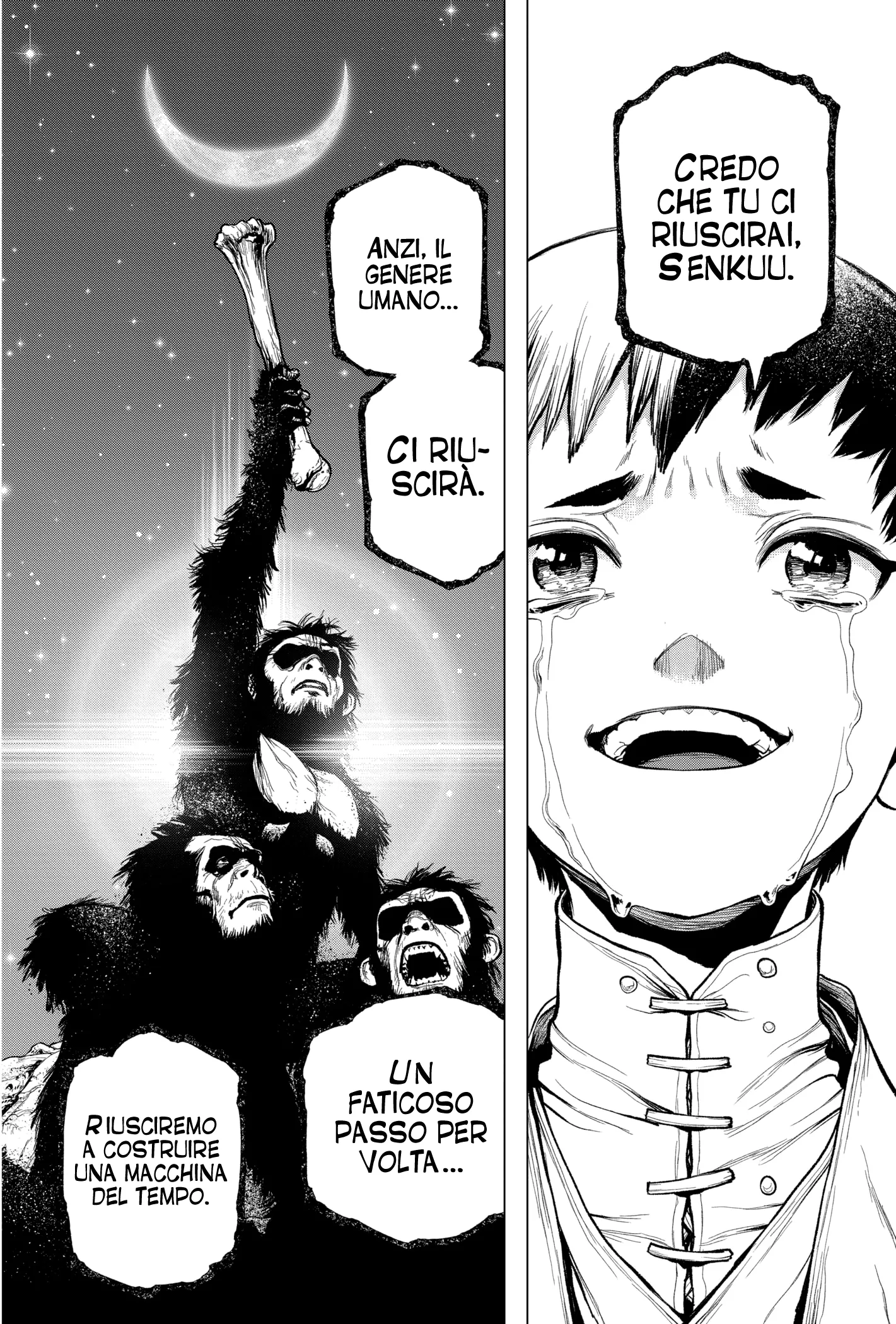 Read Dr. Stone IT Manga Online