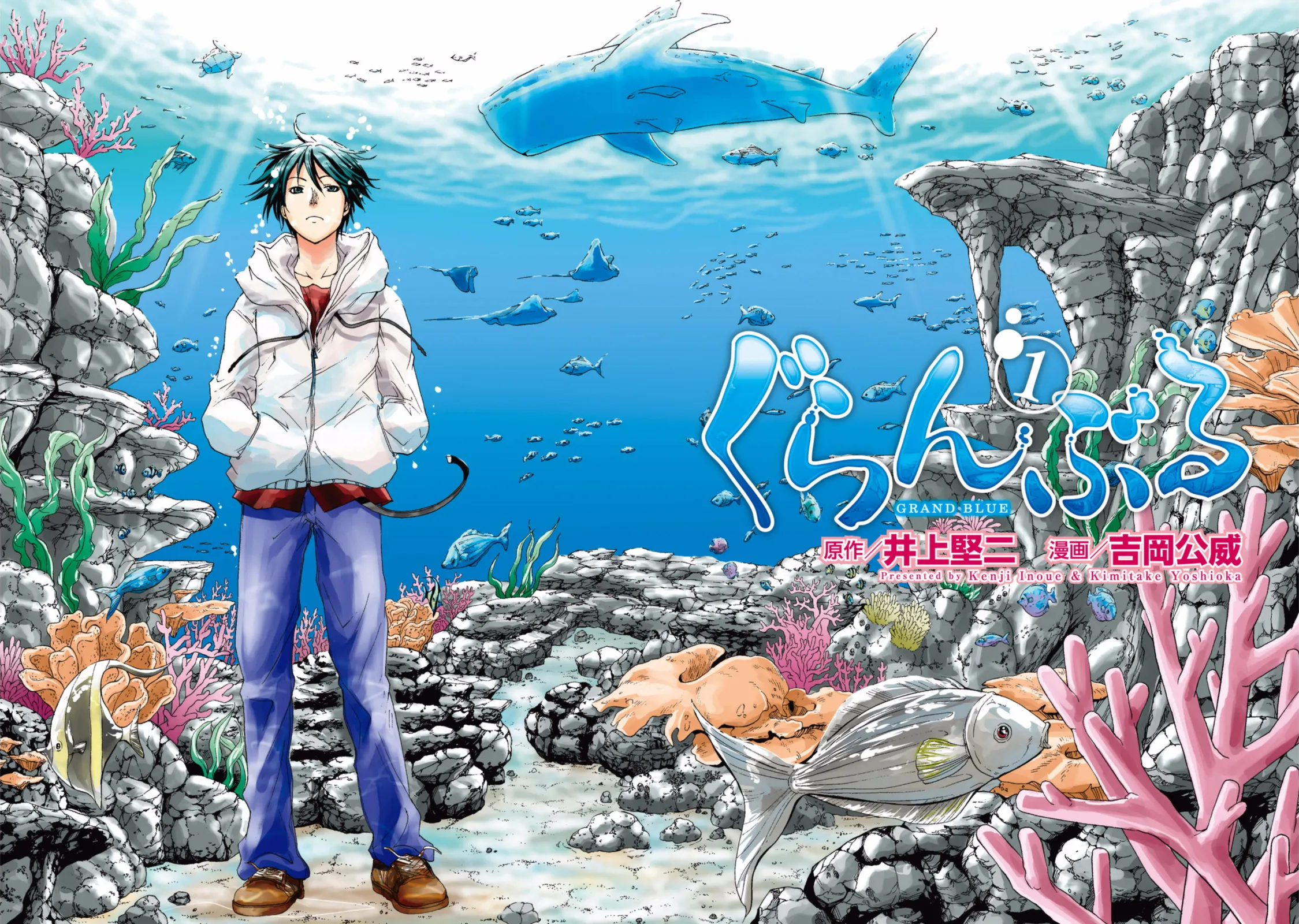Read Grand Blue IT Manga Online