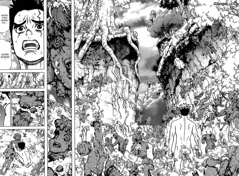 Read Dr Stone pt Manga Online