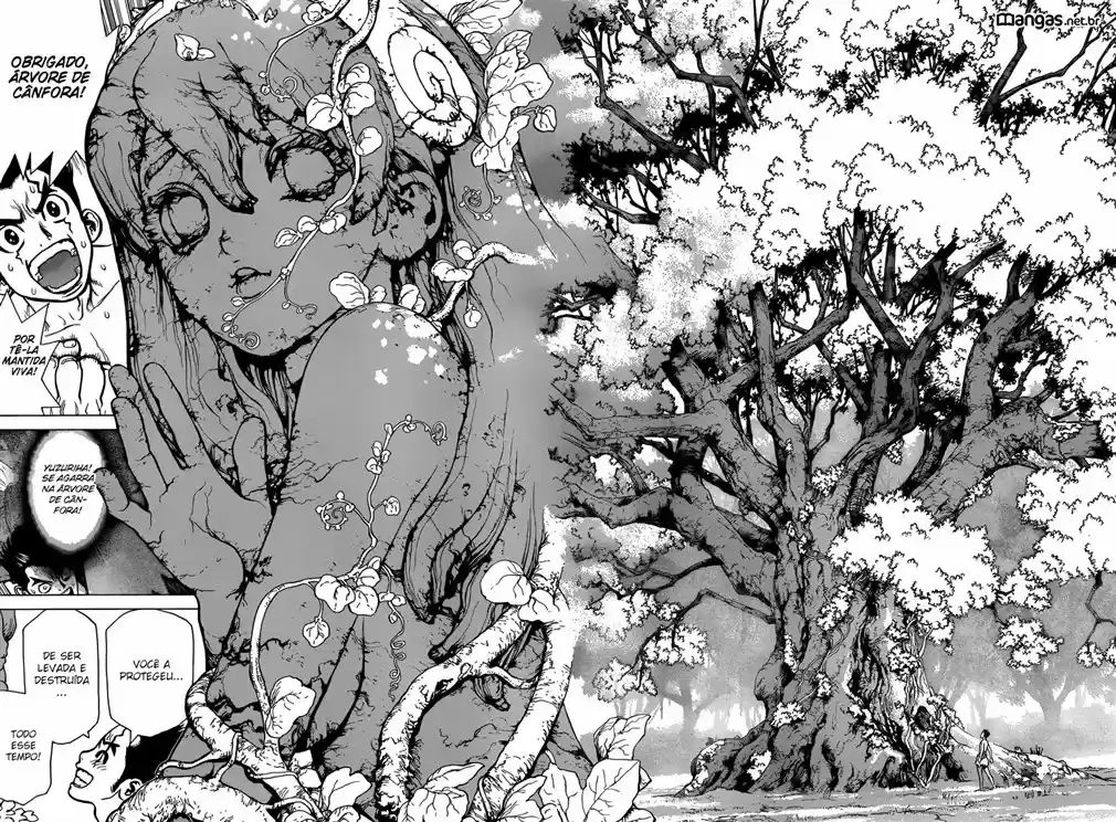 Read Dr Stone pt Manga Online