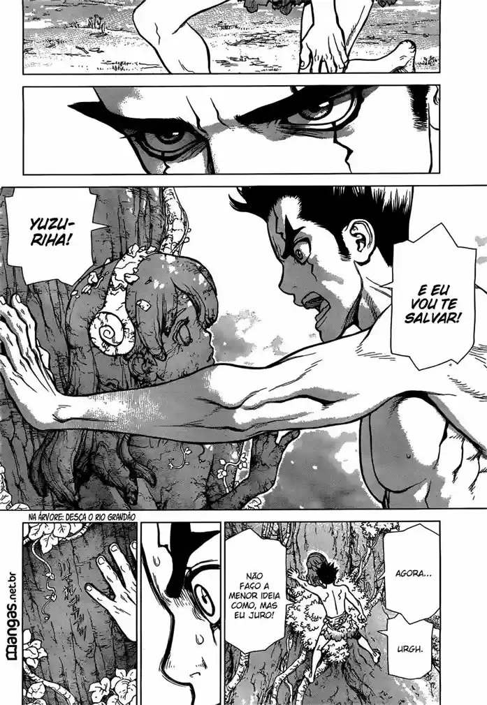 Read Dr Stone pt Manga Online