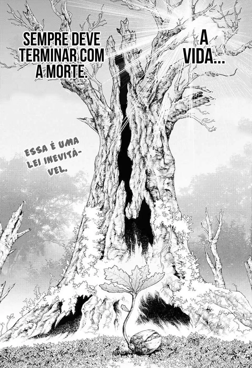 Read Dr Stone pt Manga Online