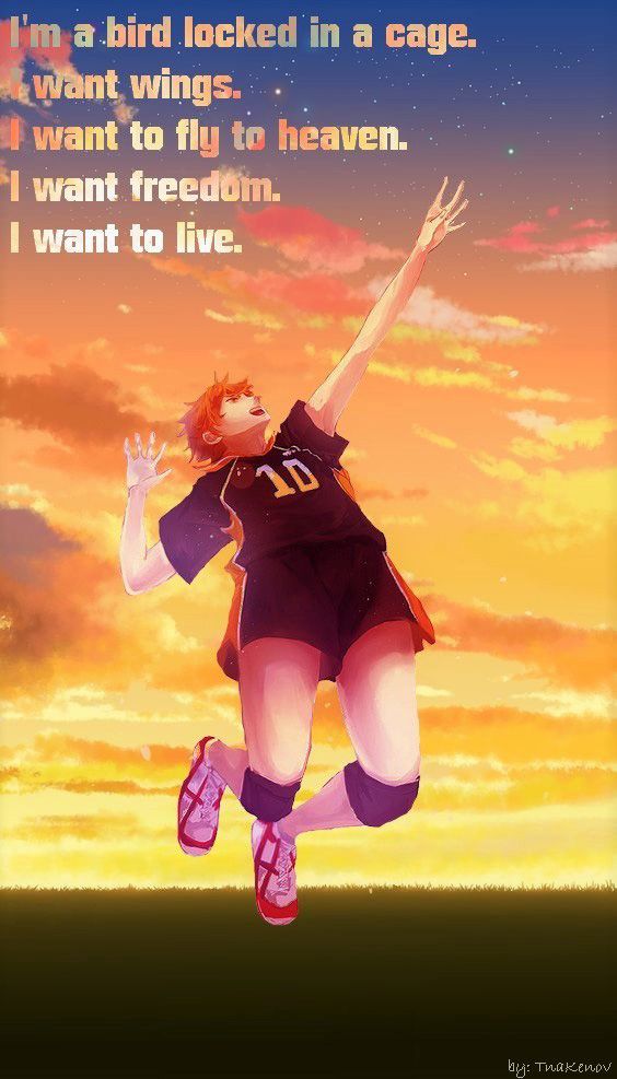 Read Haikyu ES Manga Online