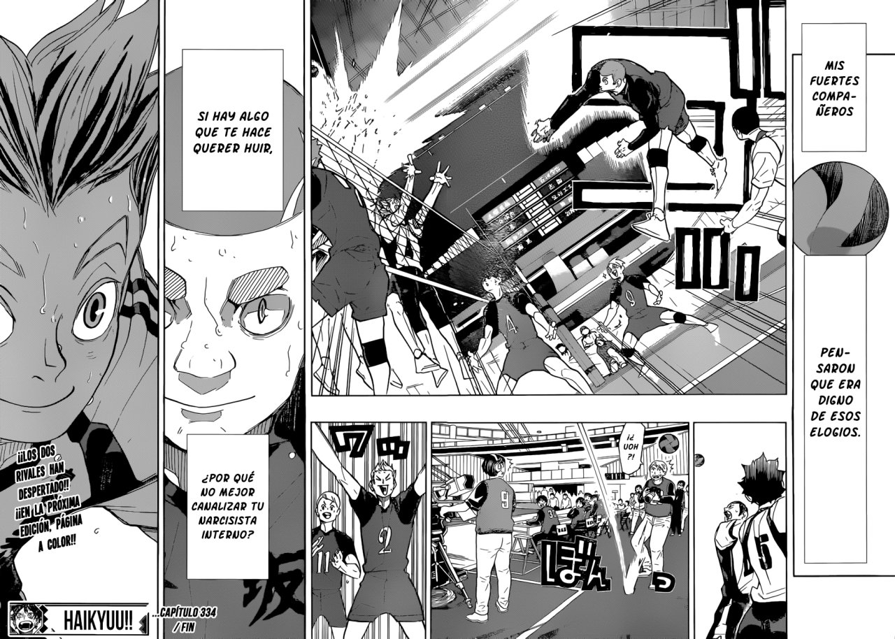Read Haikyu ES Manga Online
